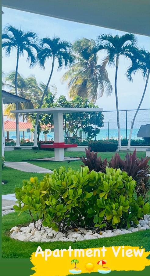 Isla Verde Frente A La Playa Y Piscina, Centrico Y Accesible San Juan Eksteriør billede